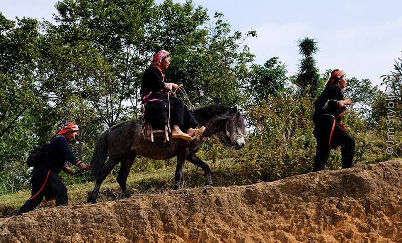 Ženy etnika Červení Dzao (Dao Do) cestou z trhu do vsi