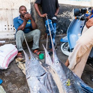 Čerstvé ryby na tržišti, Zanzibar