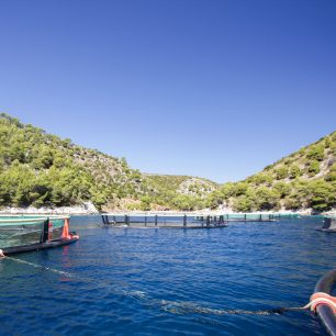 Chov ryb, zátoka duvoka, Hvar, Chorvatsko