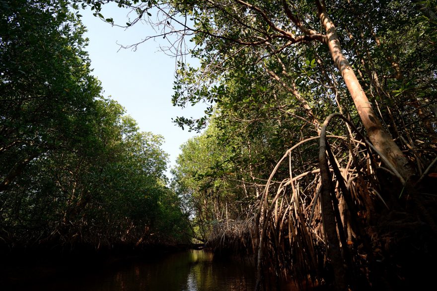 Zužující se kanál, Thajsko