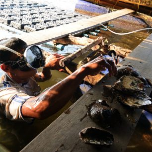 První úlovky, Thajsko