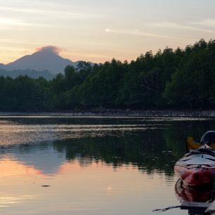 Časné ráno v mangrove, Thajsko
