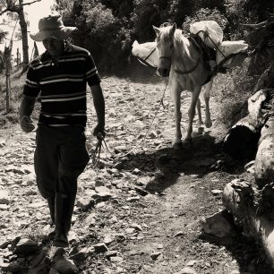 V horách deset kilometrů od Medellínu