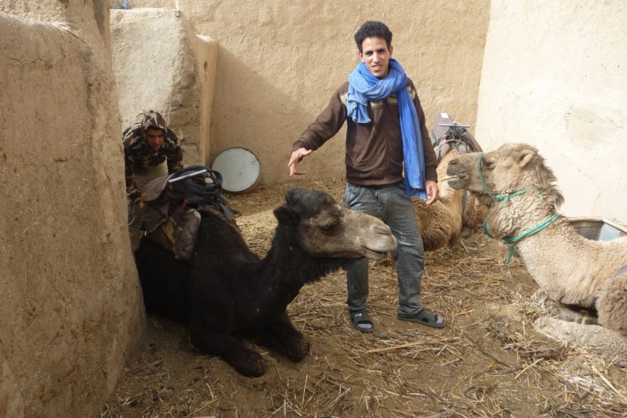 Hostitelé vás za odměnu povozí i na svých velbloudech, Maroko