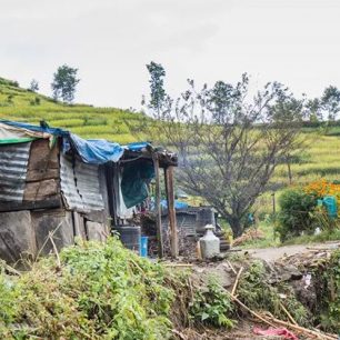 Člověk v tísni pomáhá Nepálcům s obnovou živobytí
