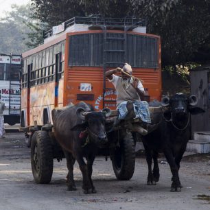 Tak se jezdí na volcích, Indie