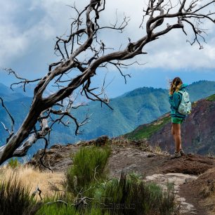 Madeira je ostrov věčného jara, Madeira