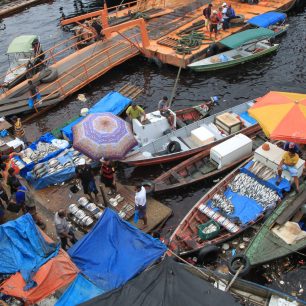 Rybí trh Manaus