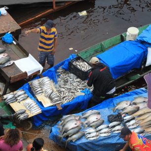 Rybí trh Manaus