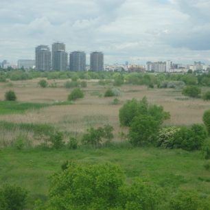 Zapomenutá zeleň Bukureště, Bukurešť, Rumunsko