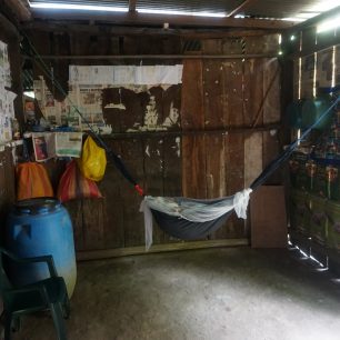 Kolíbka, mrně se jmenuje Francis, Nikaragua