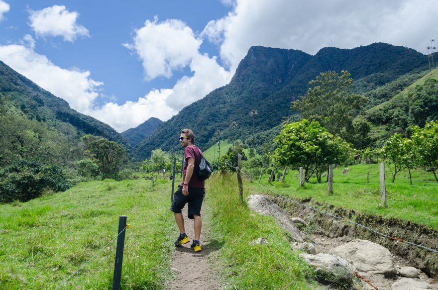Valle de Cocora, Kolumbie