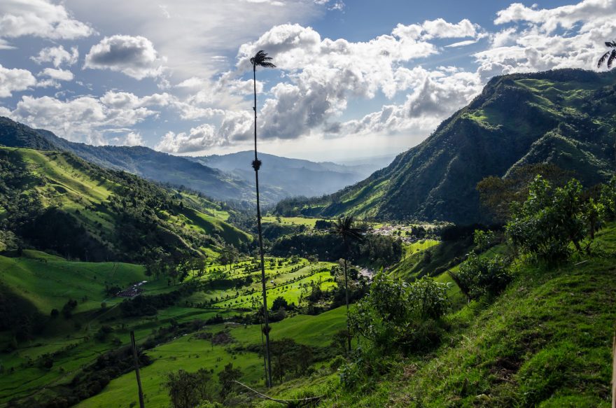 Valle de Cocora, Kolumbie
