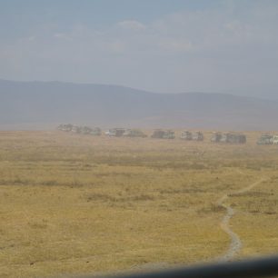 V kráteru jsou dva nosorožci, řidiči jsou ve spojení vysílačkami a doslova si přihrávají zvířata, Tanzánie