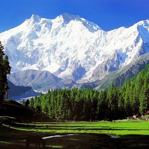 Pohled na Nanga Parbat