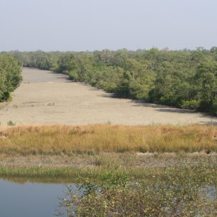 NP Sundarbans, Indie