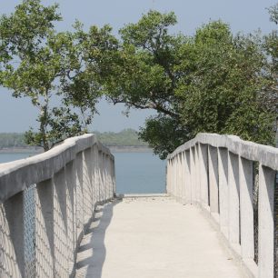 NP, Sundarbans, Indie