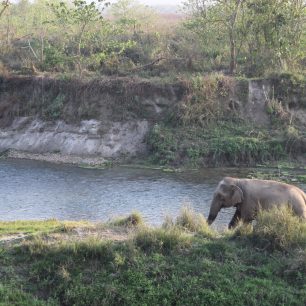 NP Chitwan, Nepál