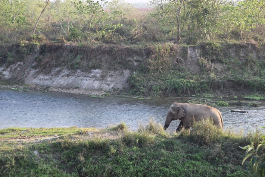 NP Chitwan, Nepál