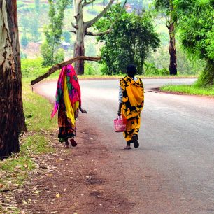 Africké ženy v barevných tradičních úborech, Tanzánie