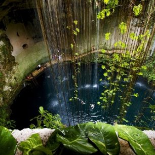 Cenotes jsou propasti spojené systémem podzemních řek, Mexiko