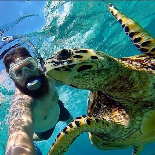 Je selfie s mořskou želvou opravdu nutnost?