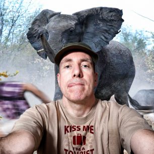 Selfie se slonem vás může stát život...