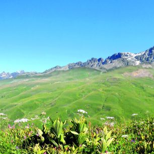 Svahy Svanetie s Ushbou v pozadí, Gruzie