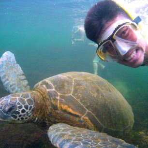 Chcete taky jedno selfie se želvou? Vážně?