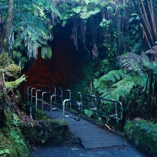 Thurston Lava Tube schovaná v deštném pralese, Volcano National Park, Big Island, Hawaii
