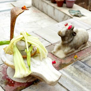 Chrám Aghanjar Mahadev - penis Šivy, Dharamshala, Indie