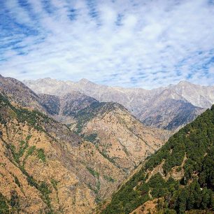 Dhaladhaurské pohoří, Dharamshala, Indie