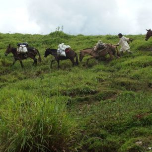 Náklad je možné vézt na koních, Ciudad Perdida, Kolumbie