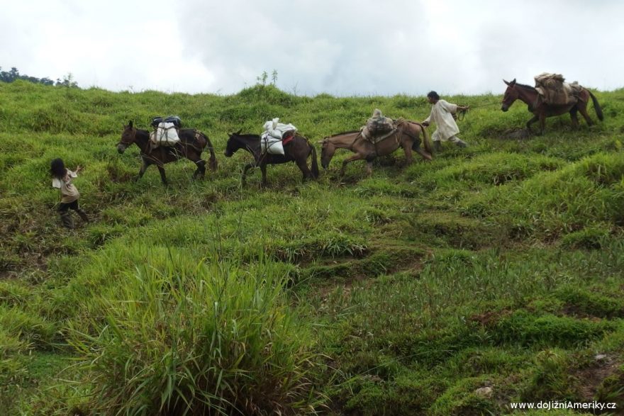 Náklad je možné vézt na koních, Ciudad Perdida, Kolumbie