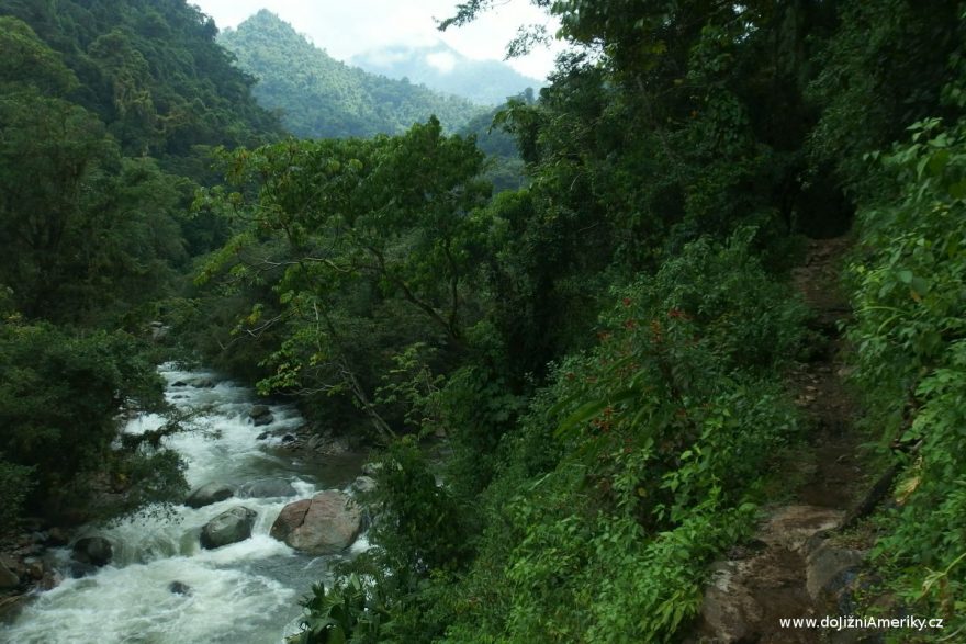 Neuvěřitelně zelená příroda, Ciudad Perdida, Kolumbie
