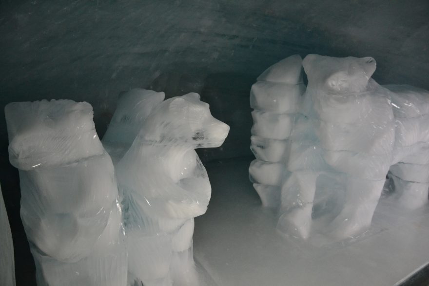 Ledoví medvědi, Top of Europe, Švýcarsko