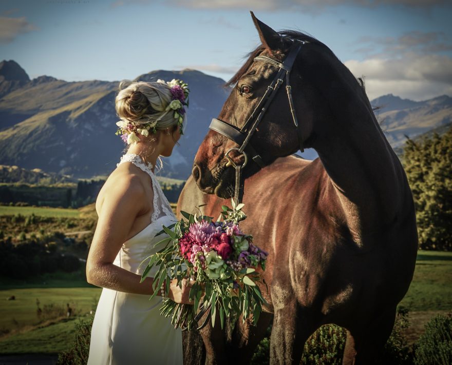 Svatba na Novém Zélandu, Nový Zéland
