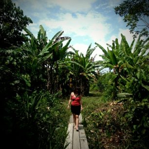 Na procházce pralesem, Kolumbie
