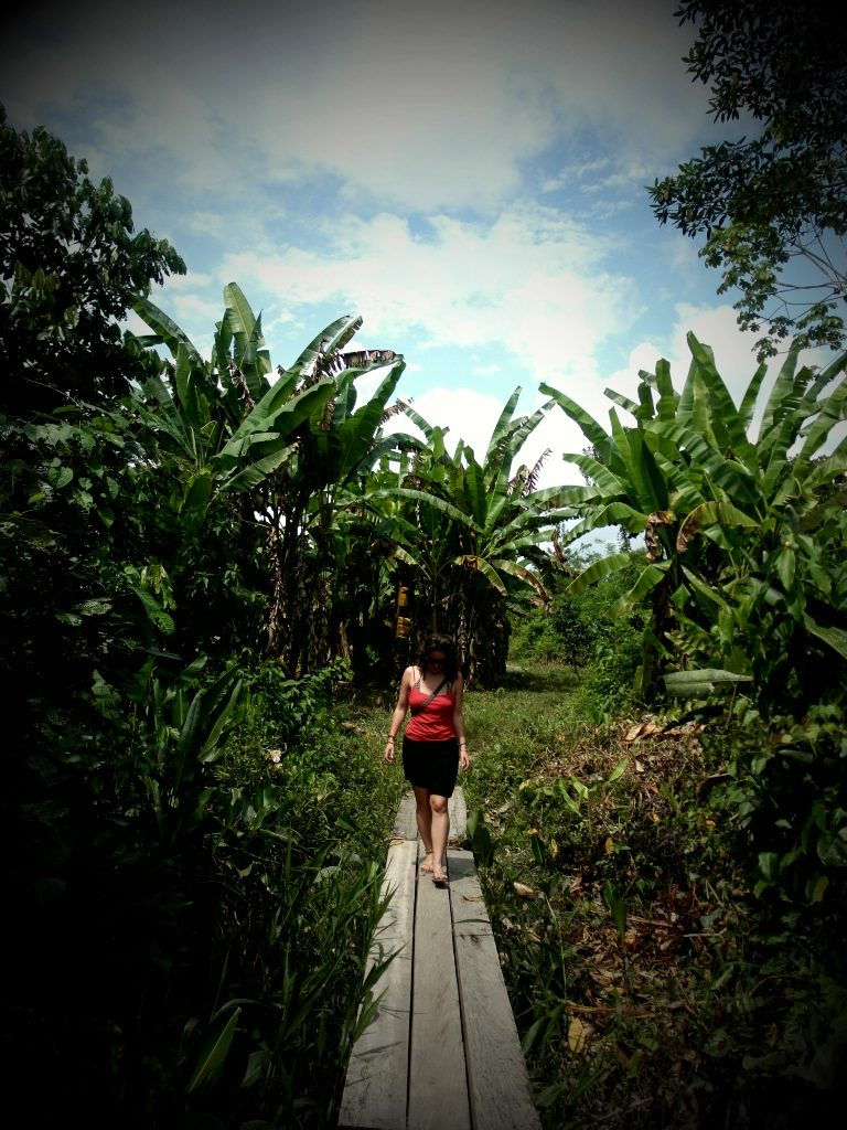 Na procházce pralesem, Kolumbie