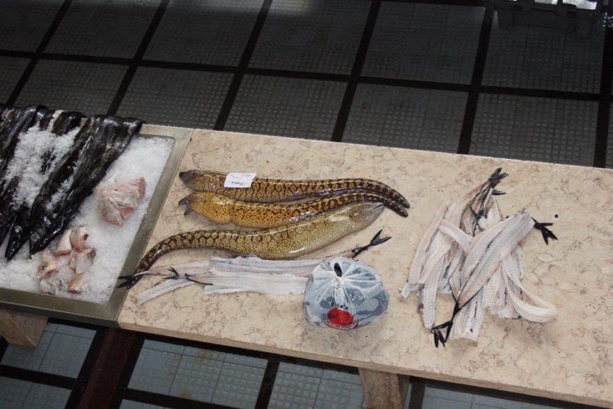 Mořské potvůrky, Funchal, Madeira