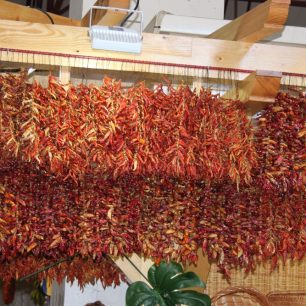 Chilli papričky, Funchal, Madeira