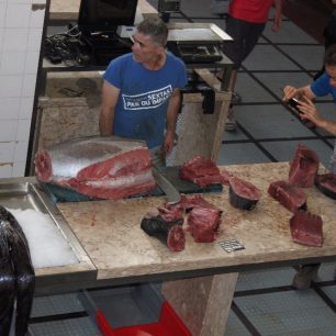 Tuňák, Funchal, Madeira