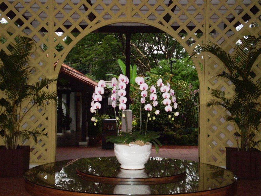 Dva symboly singapurských zahrad - orchidej uvnitř Burkill Hall, domu z roku 1866, Singapur