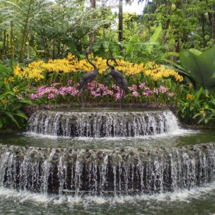 Jeřábí fontána vítá návštěvníky Národní orchidejové zahrady, nejznámější části areálu, Singapur