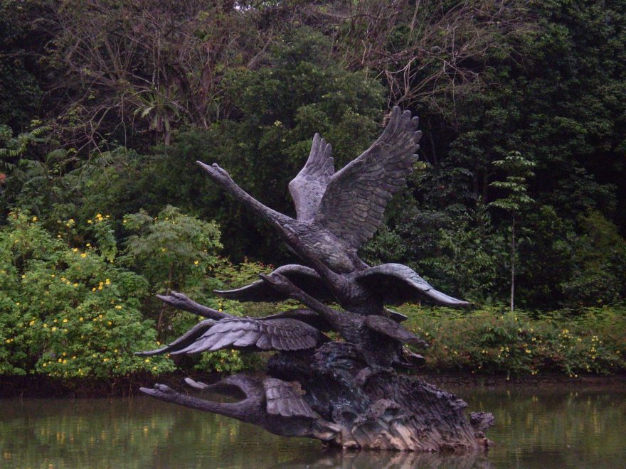 Labutí jezero je pojmenováno podle sousoší těchto ptáků, Singapur