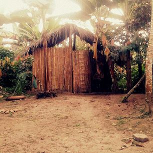 Chrám - templo v komunitě Tsáchilů pro vykonávání ceremonií, Latinská Amerika