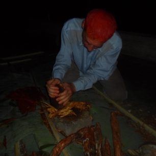 Příprava Ayahuascy, Latinská Amerika