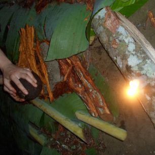 Příprava Ayahuascy - drcení liány rituálním kamenem, Latinská Amerika
