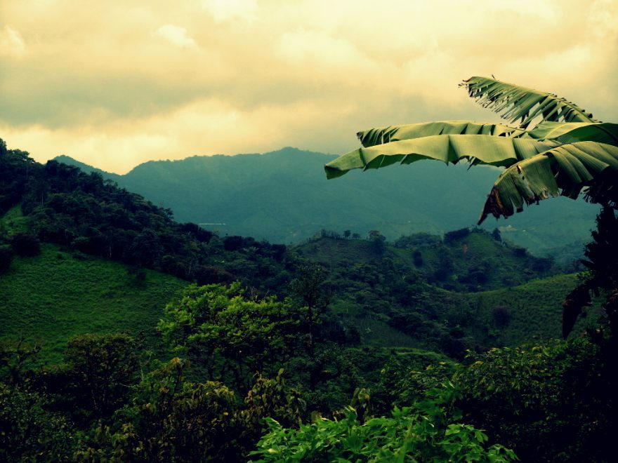 Ekvádorská krajina, Latinská Amerika