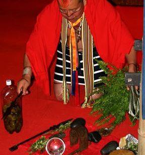 Šaman Tsáchila, Latinská Amerika